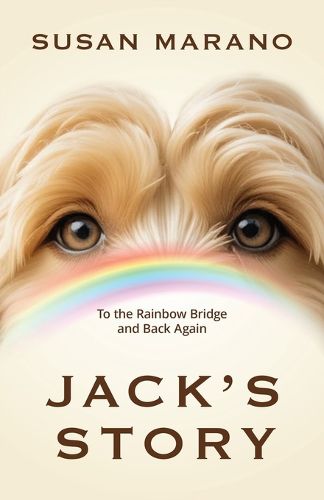 Cover image for Jack's Story