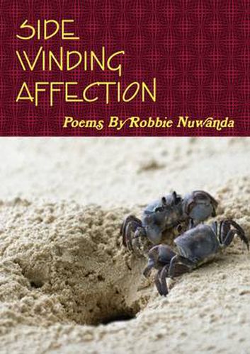 Cover image for Side Winding Affection