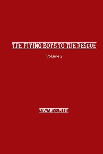 Cover image for The Fly Boys to the Rescue
