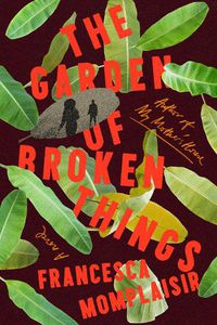 Cover image for The Garden of Broken Things: A novel