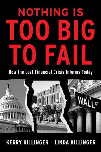 Cover image for Nothing Is Too Big To Fail: How the Last Financial Crisis Informs Today