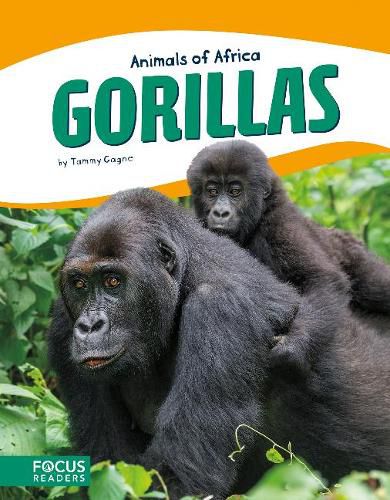 Cover image for Animals of Africa: Gorillas