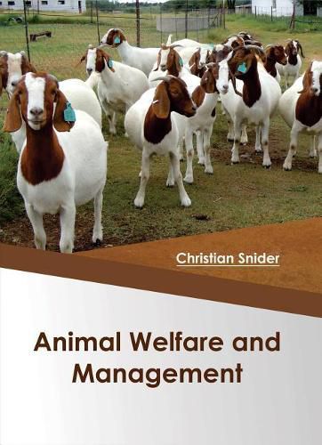 Cover image for Animal Welfare and Management