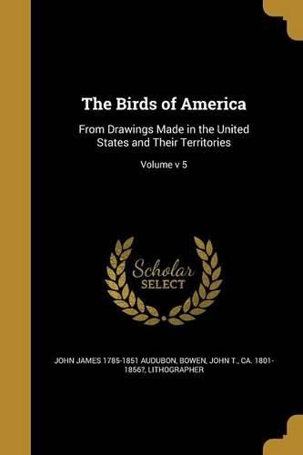Cover image for The Birds of America