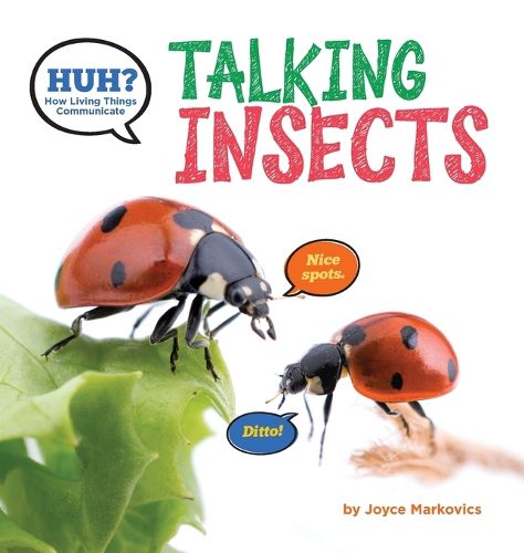 Cover image for Huh? Talking Insects
