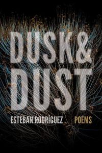 Cover image for Dusk & Dust