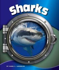 Cover image for Sharks