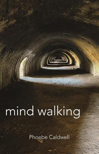 Cover image for Mind Walking