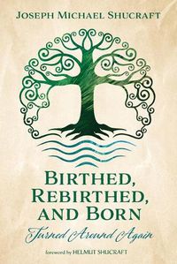 Cover image for Birthed, Rebirthed, and Born: Turned Around Again