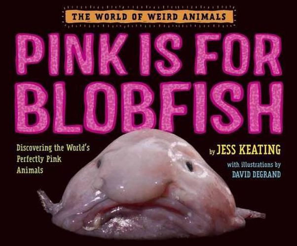 Cover image for Pink Is For Blobfish: Discovering the World's Perfectly Pink Animals