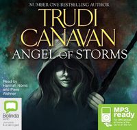 Cover image for Angel of Storms