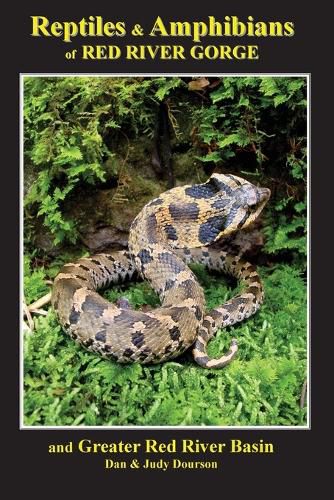 Cover image for Reptiles and Amphibians of Red River Gorge & Greater Red River Basin