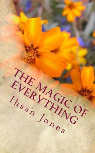 Cover image for The Magic of Everything