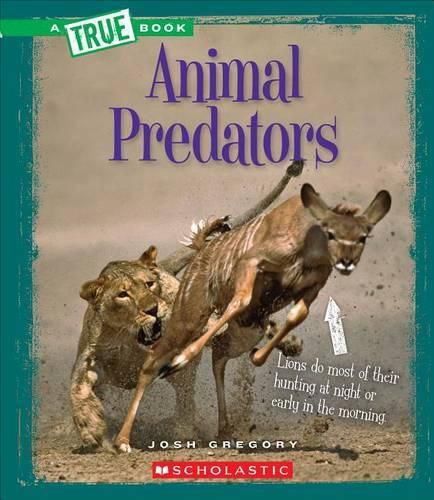 Cover image for Animal Predators