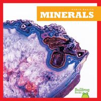 Cover image for Minerals