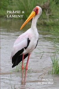 Cover image for PRAISE & LAMENT: Psalms for the God of Birds