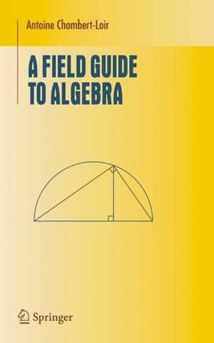 Cover image for A Field Guide to Algebra