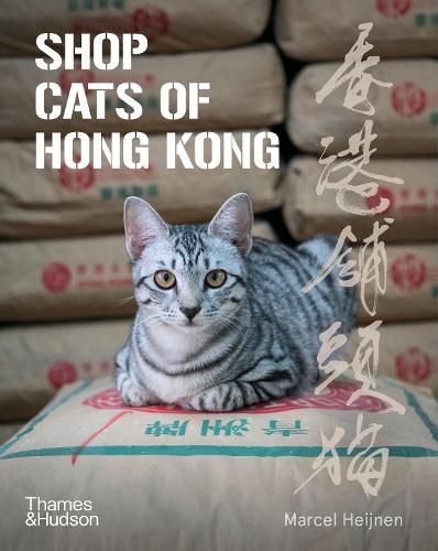 Cover image for Shop Cats of Hong Kong