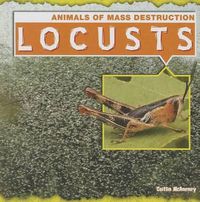 Cover image for Locusts