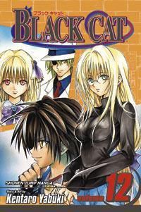 Cover image for Black Cat, Vol. 12