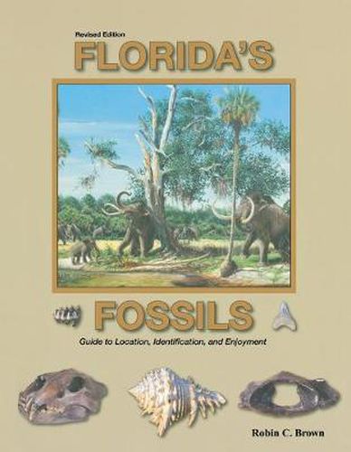 Cover image for Florida's Fossils