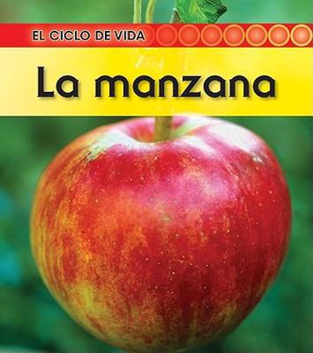 Cover image for La Manzana
