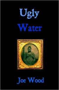 Cover image for Ugly Water
