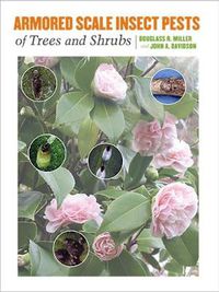 Cover image for Armored Scale Insect Pests of Trees and Shrubs