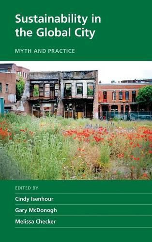 Cover image for Sustainability in the Global City: Myth and Practice