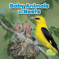 Cover image for Baby Animals in Nests