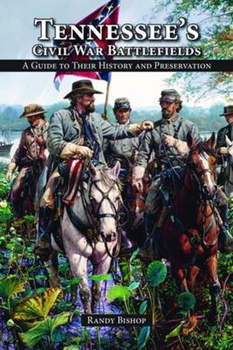 Cover image for Tennessee's Civil War Battlefields: A Guide to Their History and Preservation