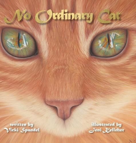 Cover image for No Ordinary Cat