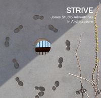 Cover image for STRIVE