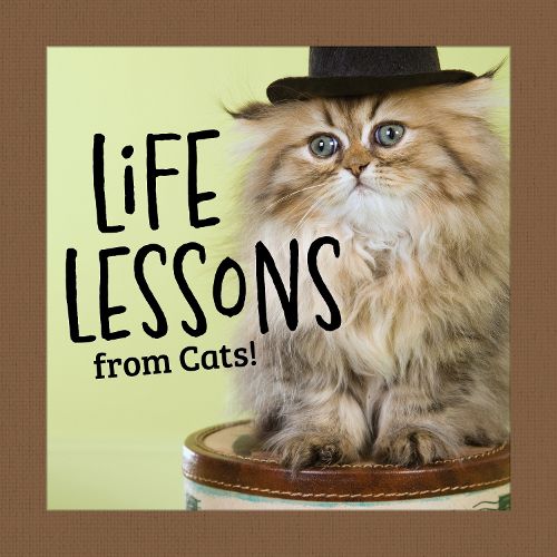 Cover image for Life Lessons from Cats