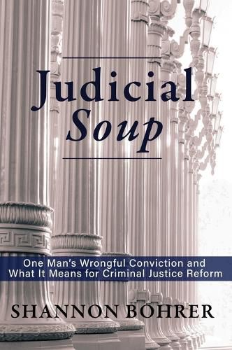 Cover image for Judicial Soup