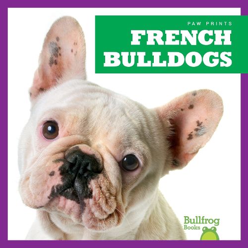 Cover image for French Bulldogs