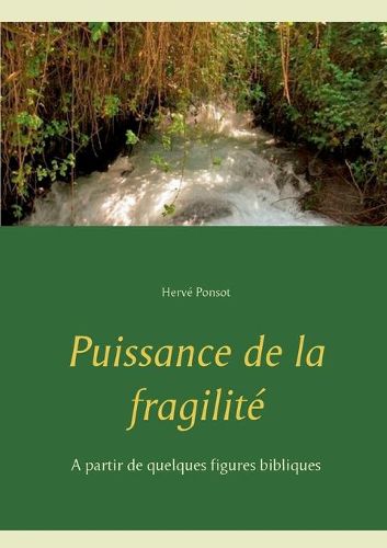 Cover image for Puissance de la fragilite: A partir de quelques figures bibliques