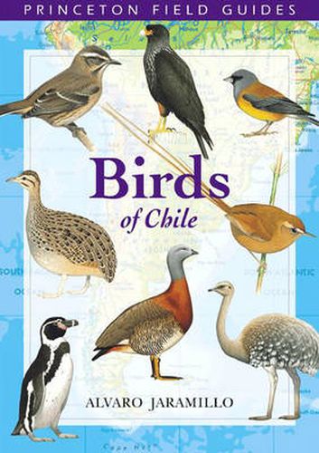 Birds of Chile