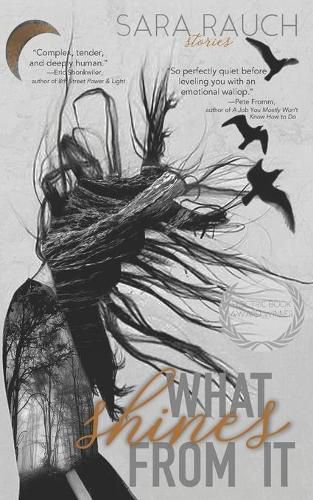 Cover image for What Shines from It