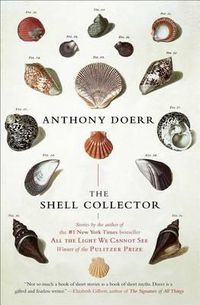 Cover image for The Shell Collector: Stories