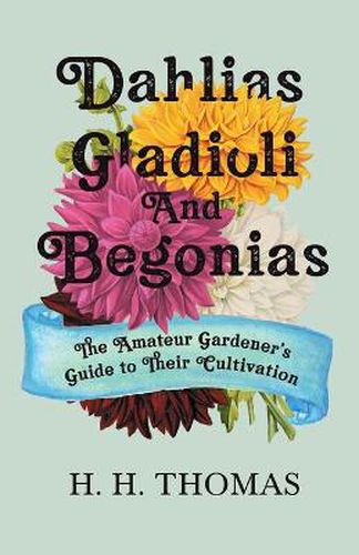 Cover image for Dahlias, Gladioli and Begonias - The Amateur Gardener's Guide to Their Cultivation