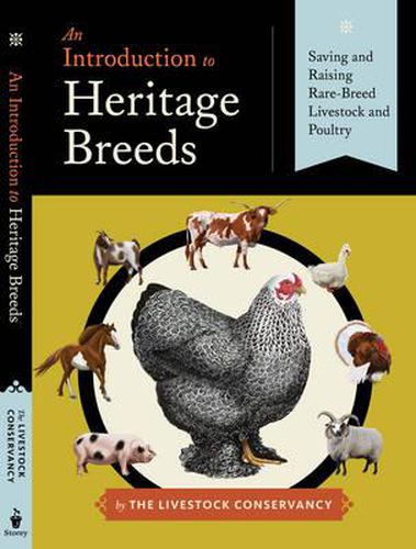 Cover image for Introduction to Heritage Breeds