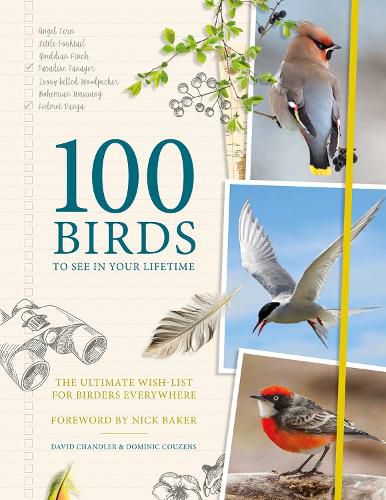Cover image for 100 Birds to See in Your Lifetime: The Ultimate Wish-list for Birders Everywhere