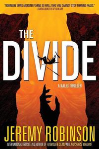 Cover image for The Divide