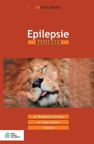 Cover image for Epilepsie: Basisboek