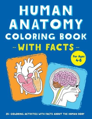 Cover image for Human Anatomy Coloring Book with Facts