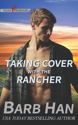 Cover image for Taking Cover with the Rancher