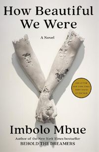 Cover image for How Beautiful We Were: A Novel