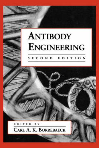 Cover image for Antibody Engineering