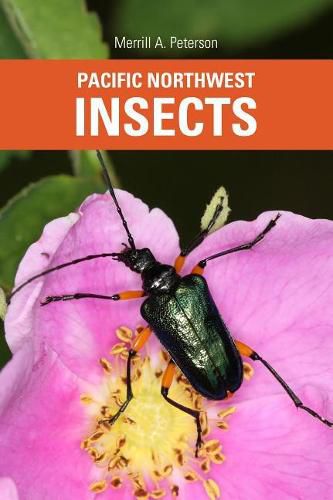 Cover image for Pacific Northwest Insects